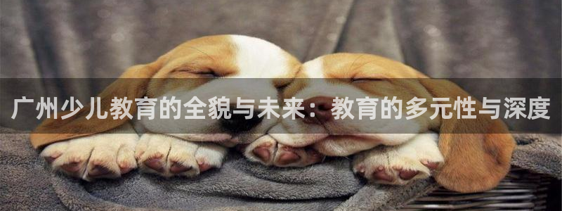 必一体育官方网站入口