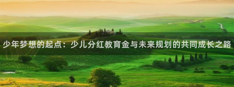 必一体育sport官方网站