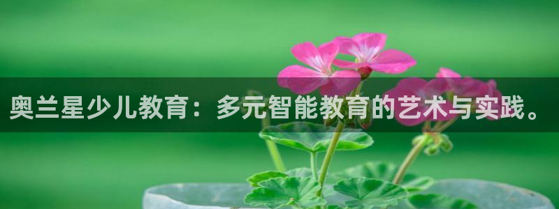 必一体育合法吗