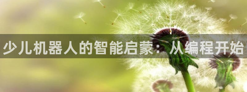 必一体育网页版登录