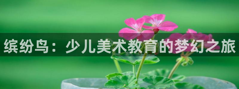 必一体育app官方下载