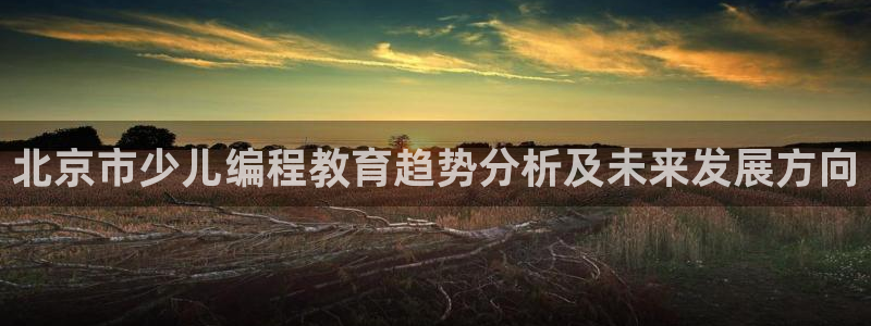 必一体育手机下载