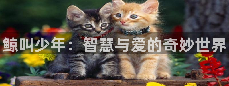 必一体育可靠吗