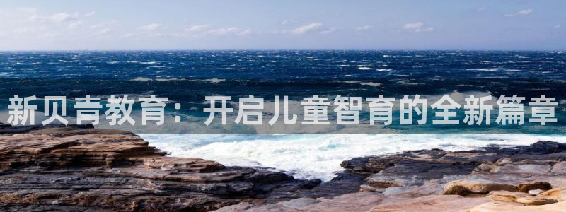 必一体育在线登陆