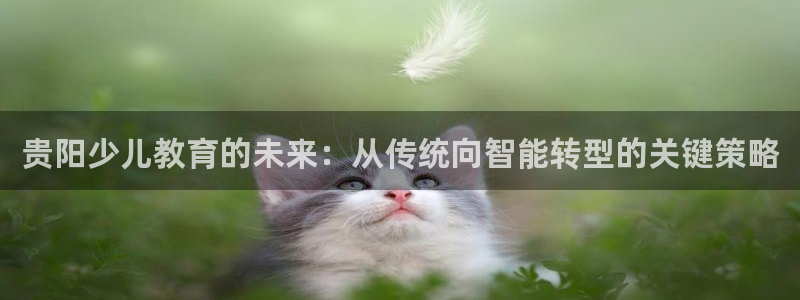 必一体育秀给网