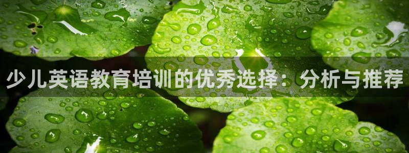 必一体育sportB体育