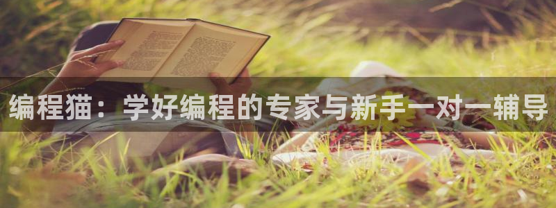 必一体育bsport下载