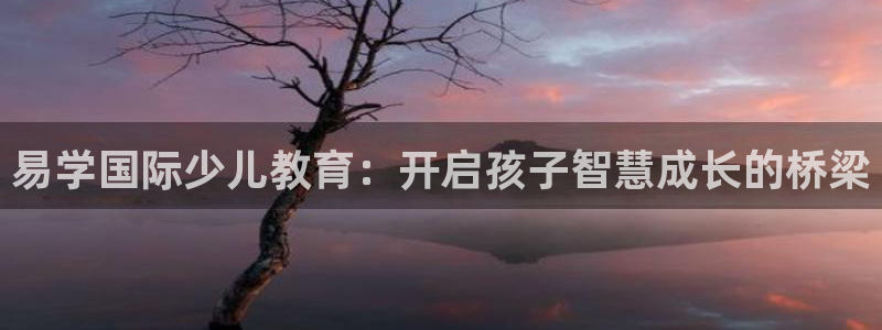 必一体育没了