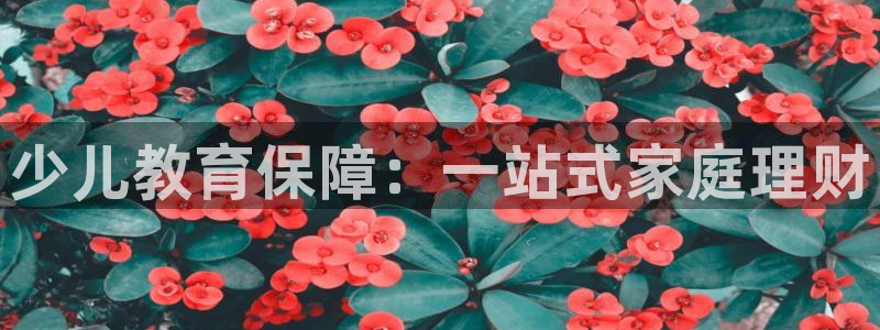 必一运动 b 体育素描版