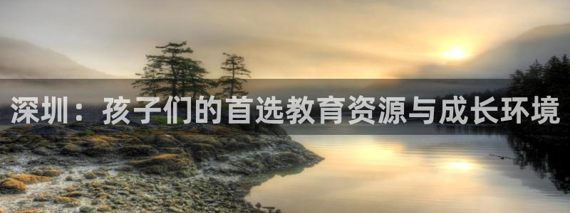 必一体育没了