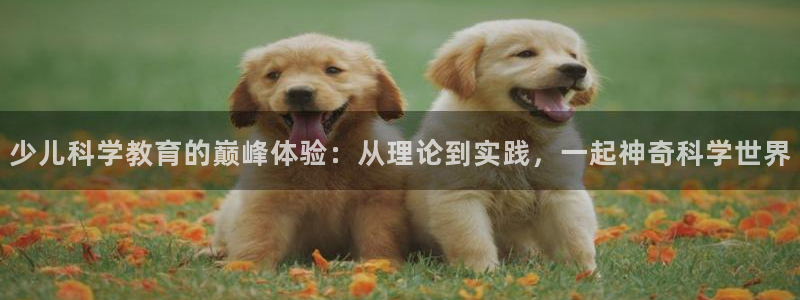 必一体育官网网站