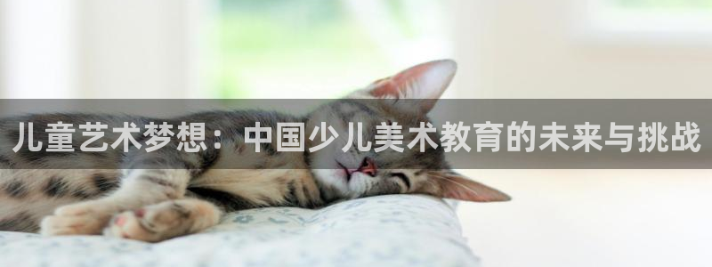 必一体育是啥