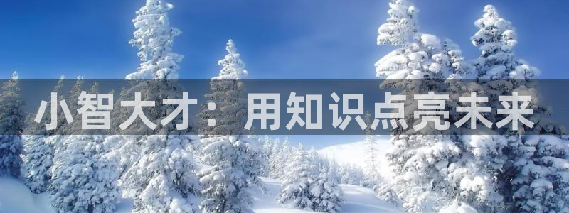 必一体育app下载