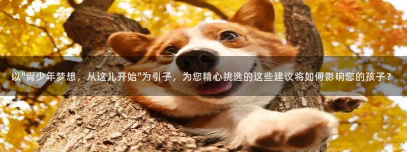 必一运动官网装机吧