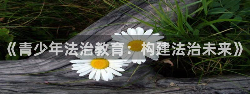 必一运动官网