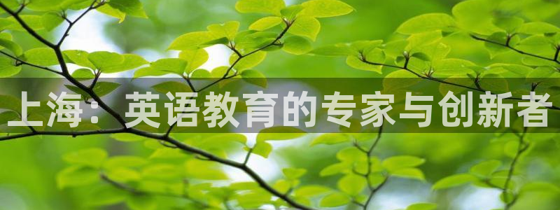 必一体育sport网页版