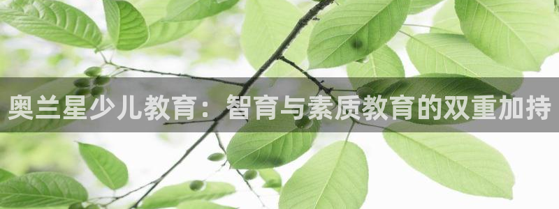 必一运动体育官网