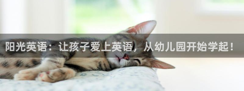 必一体育官方下载