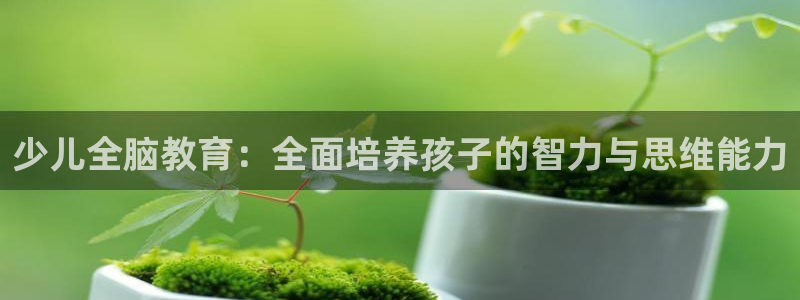 必一体育下载意思