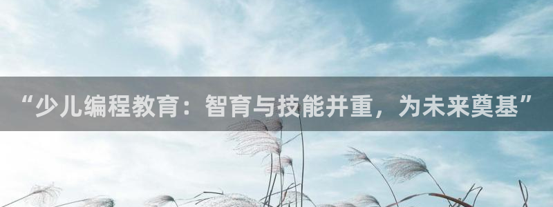 必一体育游戏特色