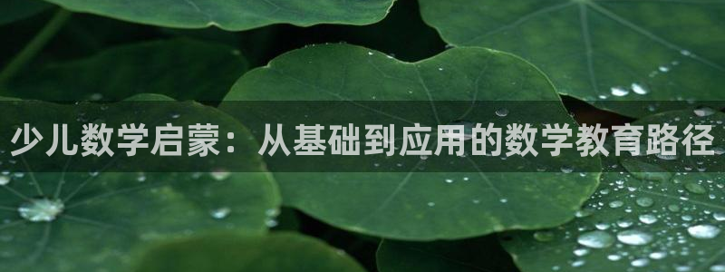 必一体育下载意思