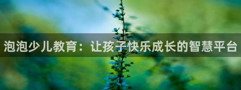 必一体育官方入口