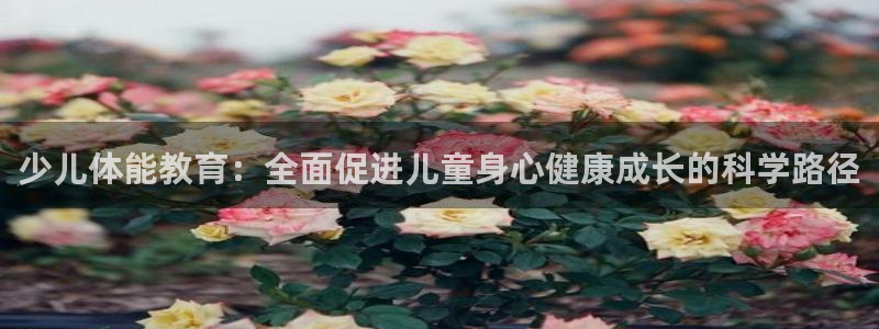 必一体育最新官网入口首页