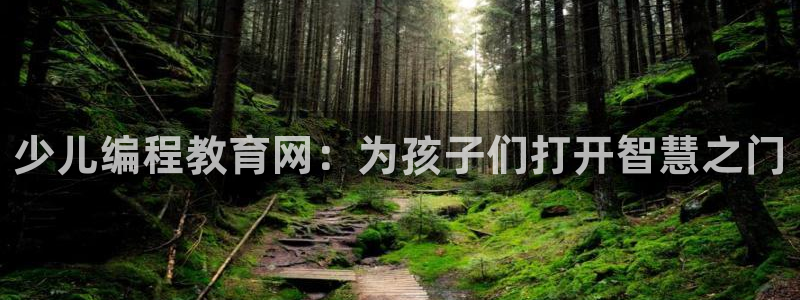 必一体育sportB体育