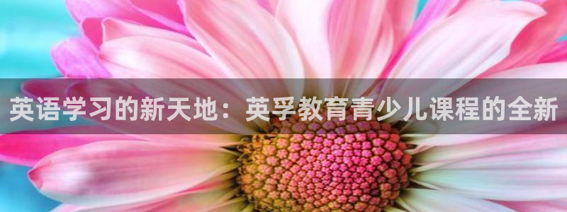 必一体育官网app