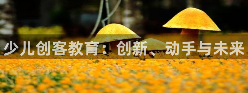 必一体育sport网页版