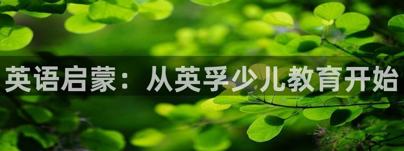 必一体育sport下载