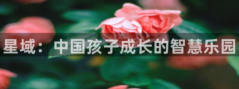 必一体育官方网站入口