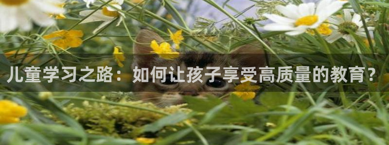 必一体育黑平台