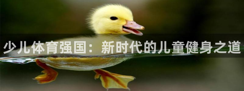 必一体育最新官网入口首页