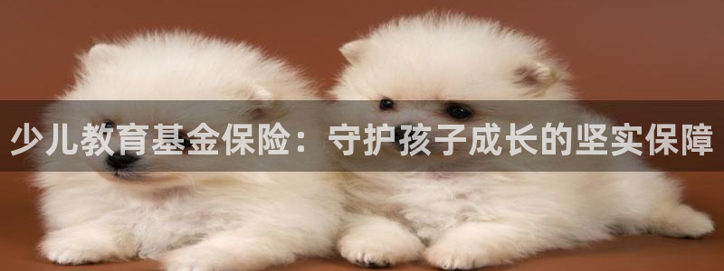 必一体育sport装机吧