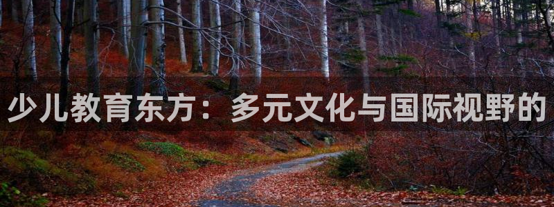 必一体育bsport下载