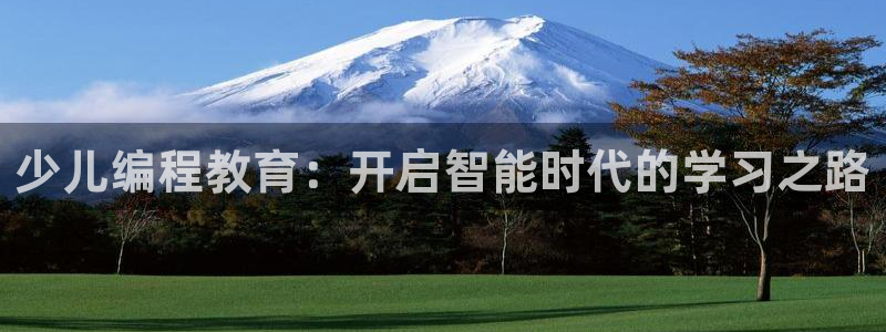 必一体育在哪下