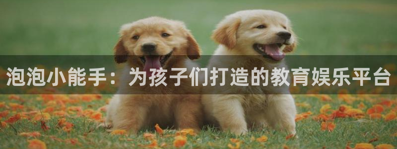 必一体育在线入口