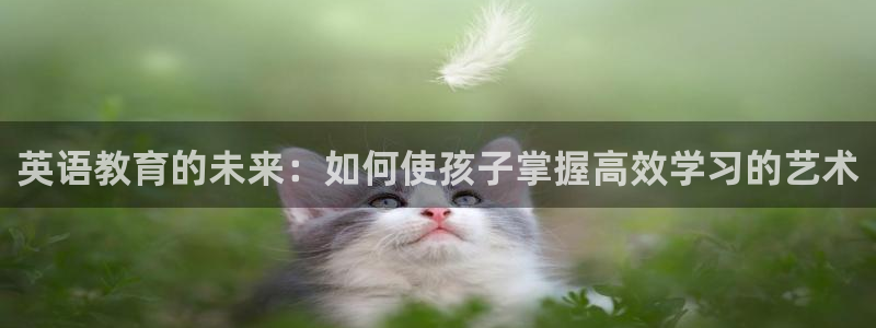 必一体育黑平台