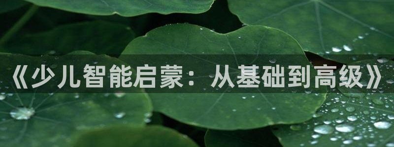 必一体育sport官方网站