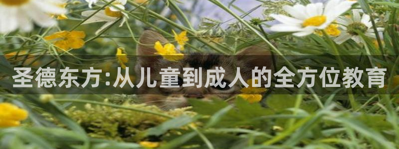 必一体育在线入口