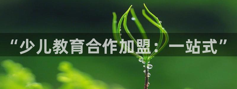 必一运动·(B-Sports)