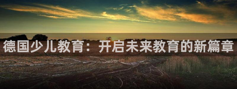 必一体育游戏玩法