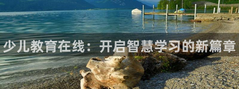 必一体育sport官网