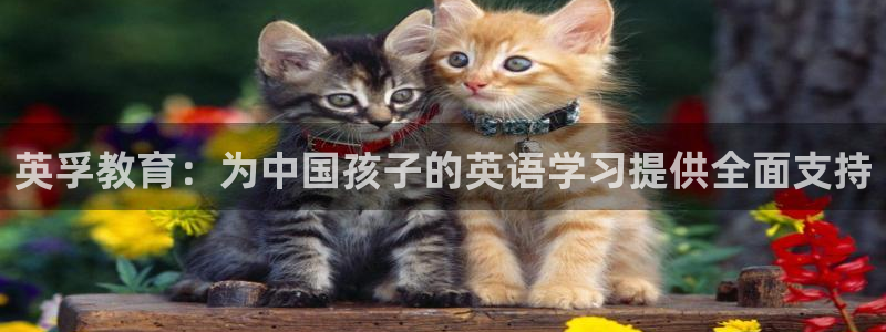 必一体育官网网站