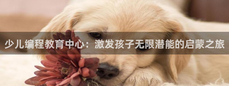 必一体育sport官方网站