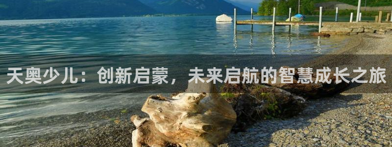 必一体育下载一样吗