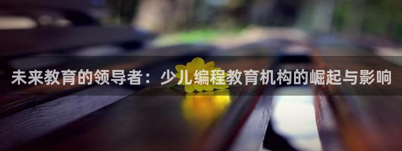 必一体育在哪下