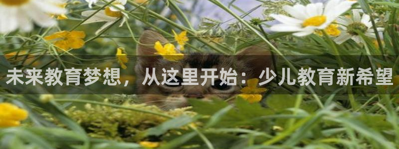 必一体育下载义