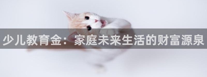 必一运动体育官网